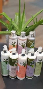 Shower Gel mit Olivenöl & Lavendel – Bild 4